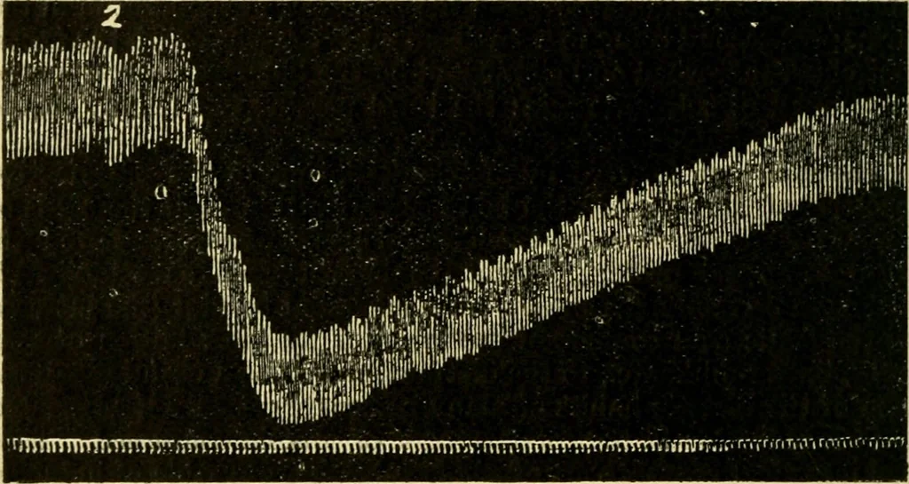 An illustration from A manual of physiology : with practical exercises / by G. N. Stewart ; with coloured plate and 467 other illustrations., 1914, leaf 442
