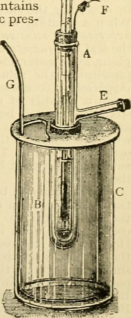 An illustration from A manual of physiology : with practical exercises / by G. N. Stewart ; with coloured plate and 467 other illustrations., 1914, leaf 445