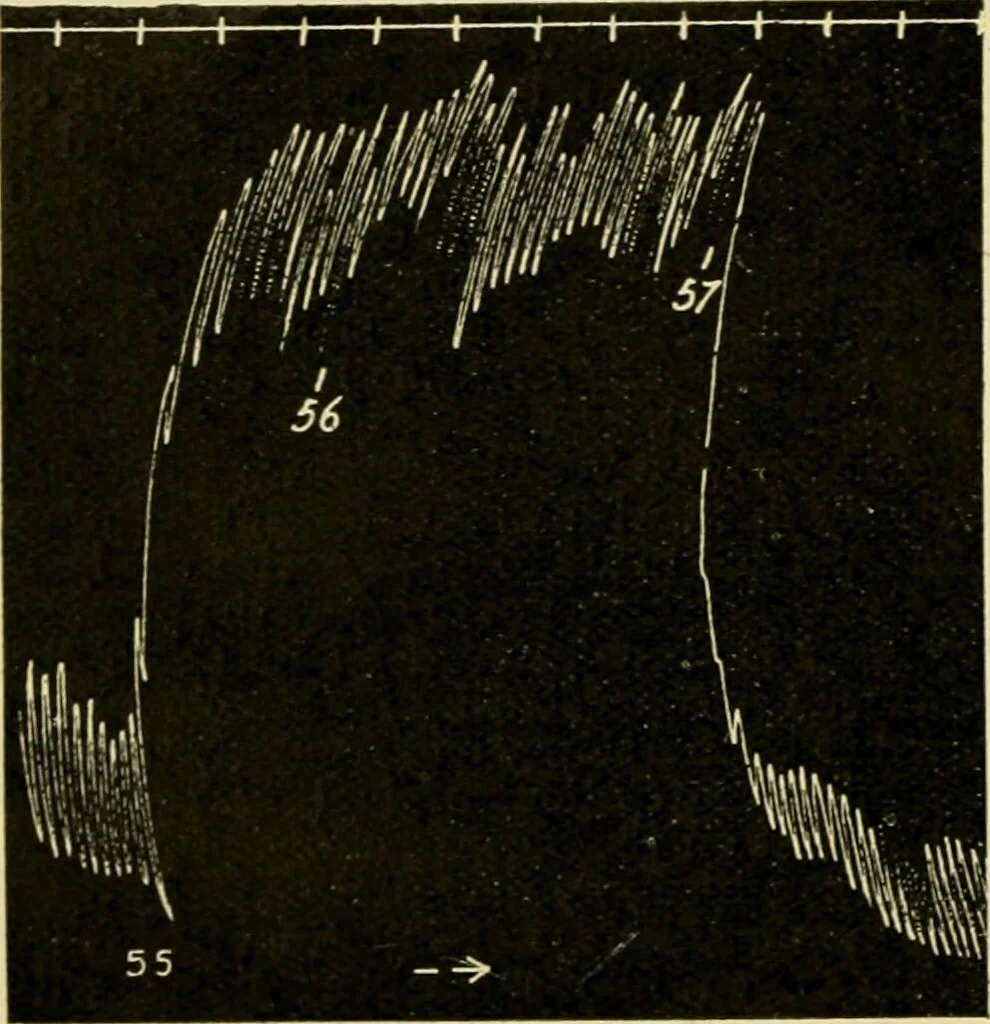 An illustration from A manual of physiology : with practical exercises / by G. N. Stewart ; with coloured plate and 467 other illustrations., 1914, leaf 472