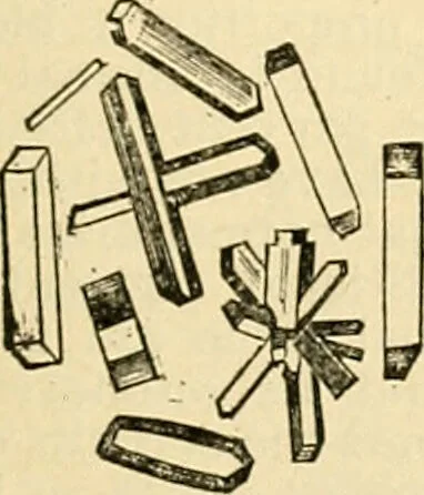 An illustration from A manual of physiology : with practical exercises / by G. N. Stewart ; with coloured plate and 467 other illustrations., 1914, leaf 499
