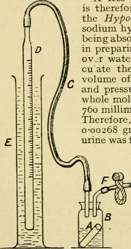 An illustration from A manual of physiology : with practical exercises / by G. N. Stewart ; with coloured plate and 467 other illustrations., 1914, leaf 536