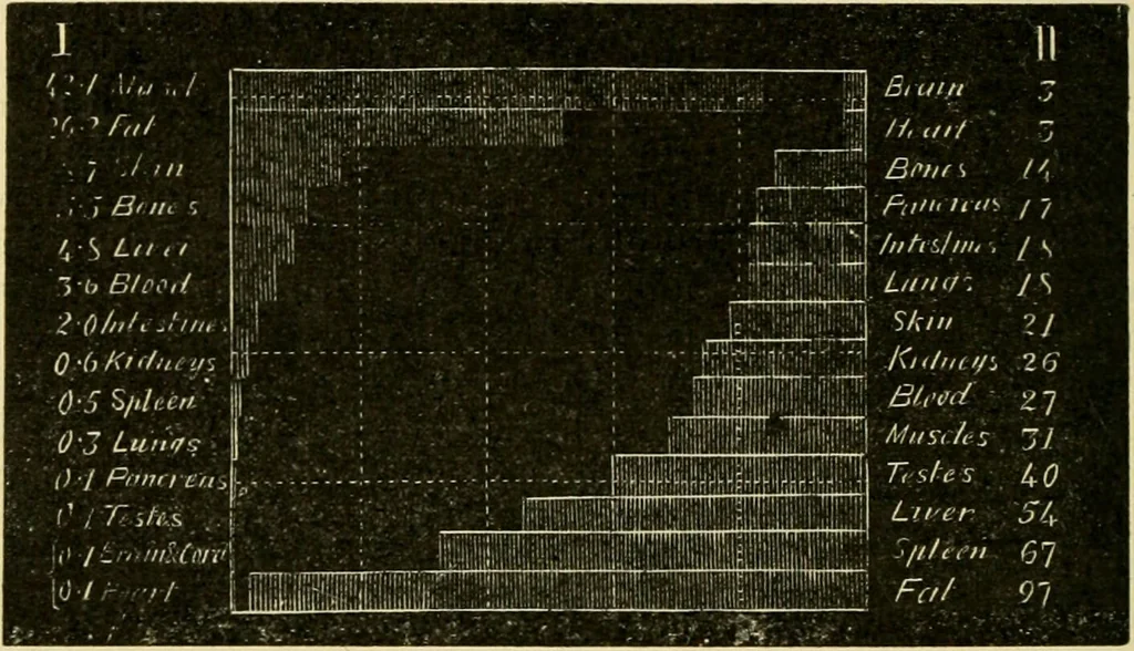 An illustration from A manual of physiology : with practical exercises / by G. N. Stewart ; with coloured plate and 467 other illustrations., 1914, leaf 616