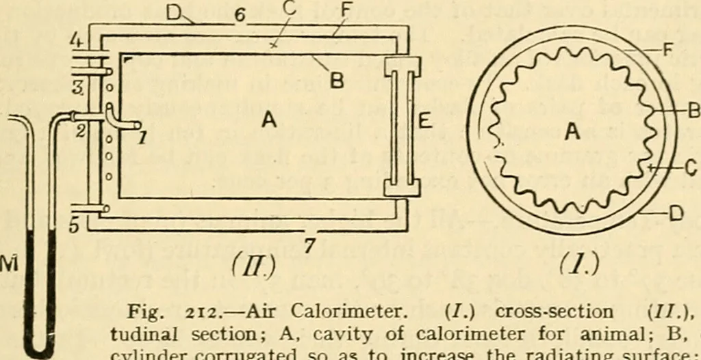 An illustration from A manual of physiology : with practical exercises / by G. N. Stewart ; with coloured plate and 467 other illustrations., 1914, leaf 679