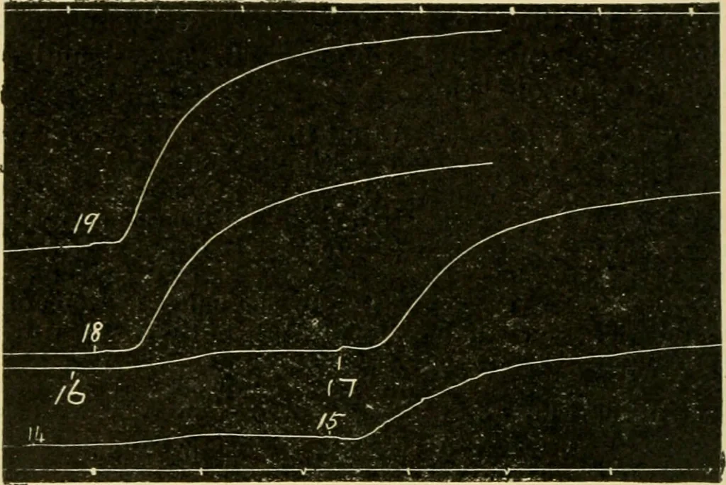 An illustration from A manual of physiology : with practical exercises / by G. N. Stewart ; with coloured plate and 467 other illustrations., 1914, leaf 70