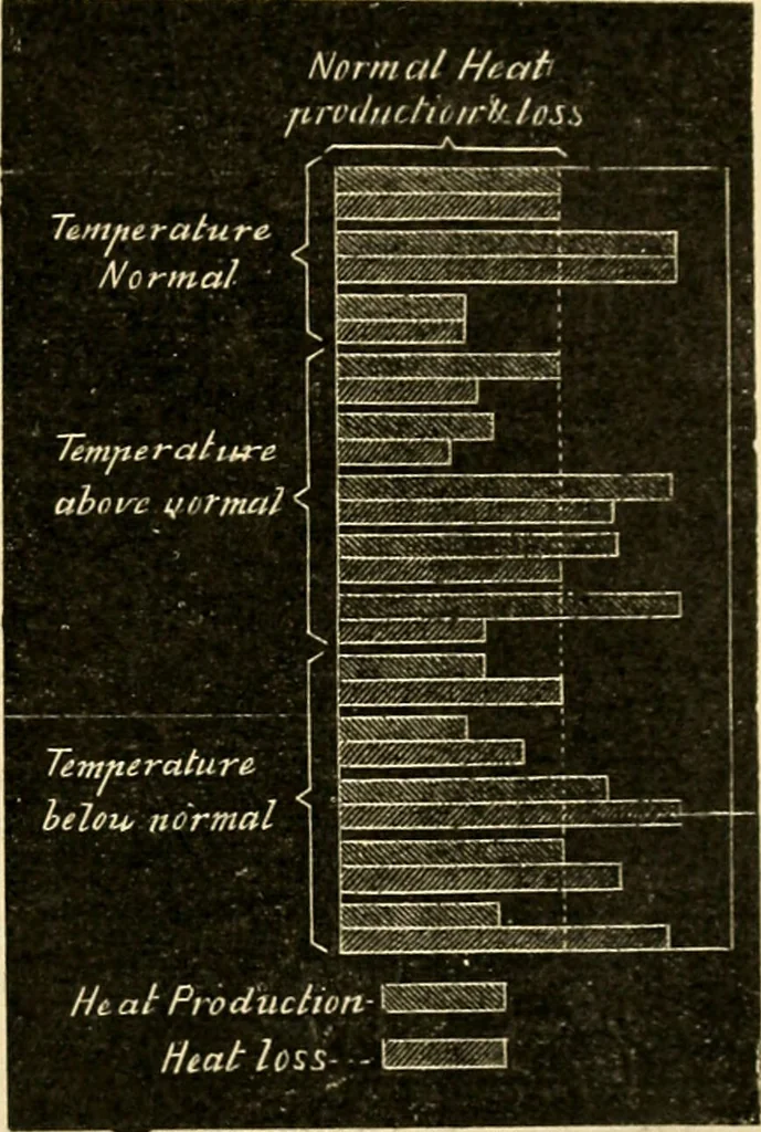 An illustration from A manual of physiology : with practical exercises / by G. N. Stewart ; with coloured plate and 467 other illustrations., 1914, leaf 703