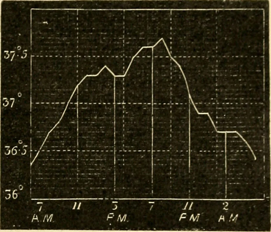 An illustration from A manual of physiology : with practical exercises / by G. N. Stewart ; with coloured plate and 467 other illustrations., 1914, leaf 711