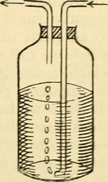 An illustration from A manual of physiology : with practical exercises / by G. N. Stewart ; with coloured plate and 467 other illustrations., 1914, leaf 719