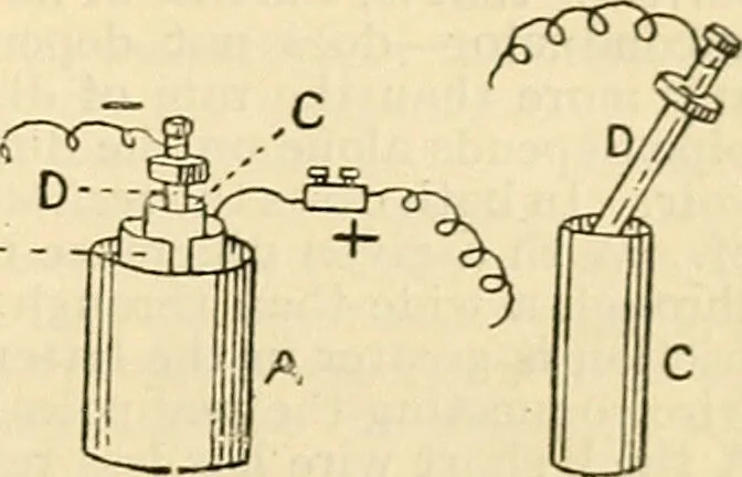 An illustration from A manual of physiology : with practical exercises / by G. N. Stewart ; with coloured plate and 467 other illustrations., 1914, leaf 721