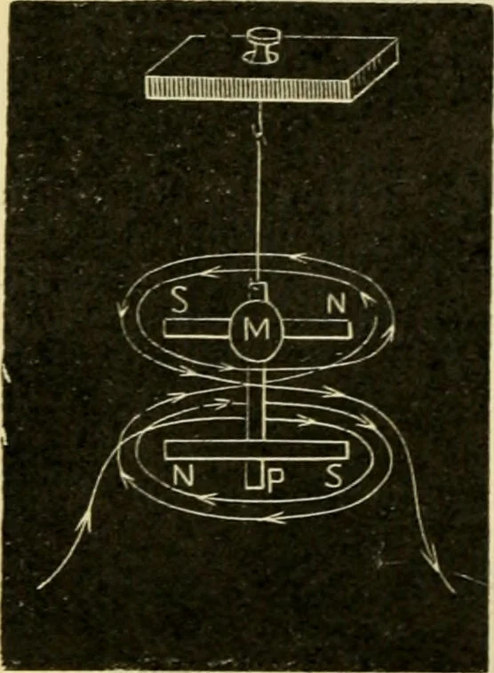 An illustration from A manual of physiology : with practical exercises / by G. N. Stewart ; with coloured plate and 467 other illustrations., 1914, leaf 724