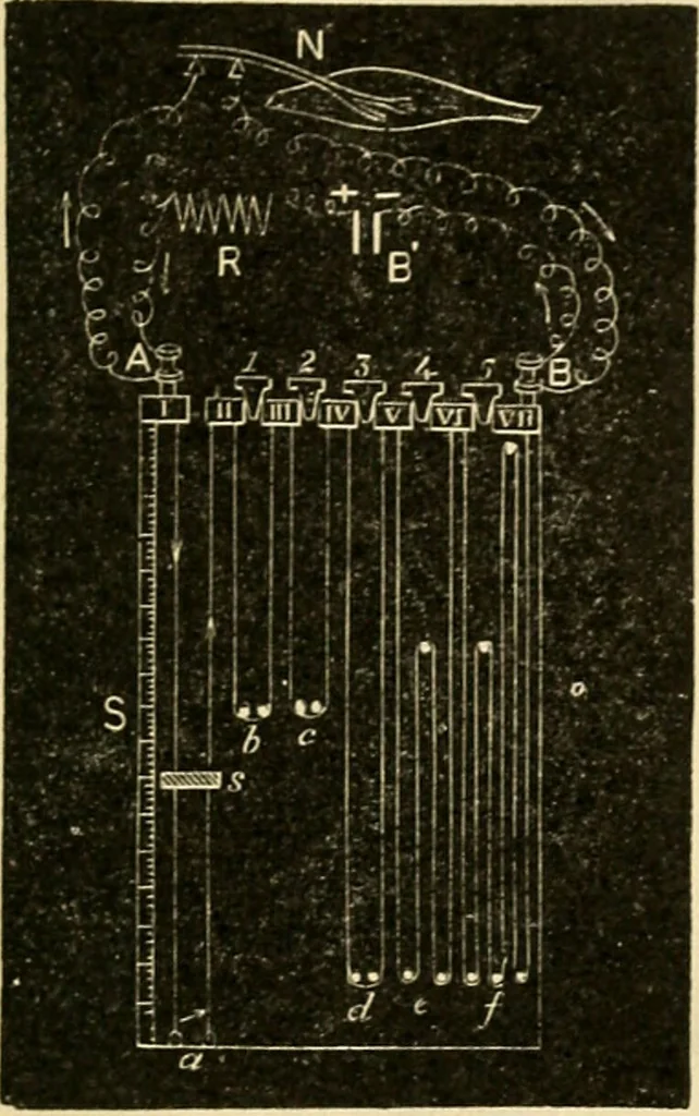 An illustration from A manual of physiology : with practical exercises / by G. N. Stewart ; with coloured plate and 467 other illustrations., 1914, leaf 725