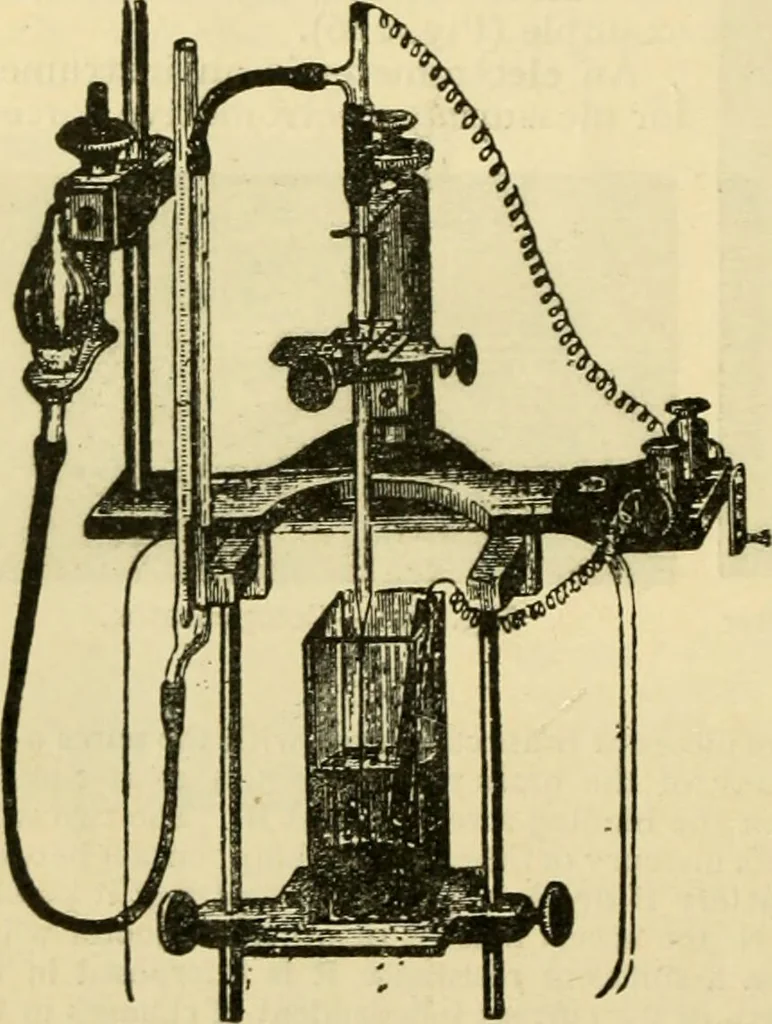 An illustration from A manual of physiology : with practical exercises / by G. N. Stewart ; with coloured plate and 467 other illustrations., 1914, leaf 726