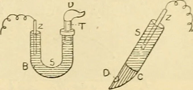 An illustration from A manual of physiology : with practical exercises / by G. N. Stewart ; with coloured plate and 467 other illustrations., 1914, leaf 729