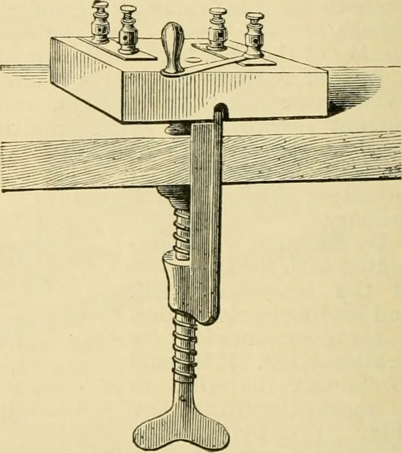 An illustration from A manual of physiology : with practical exercises / by G. N. Stewart ; with coloured plate and 467 other illustrations., 1914, leaf 730