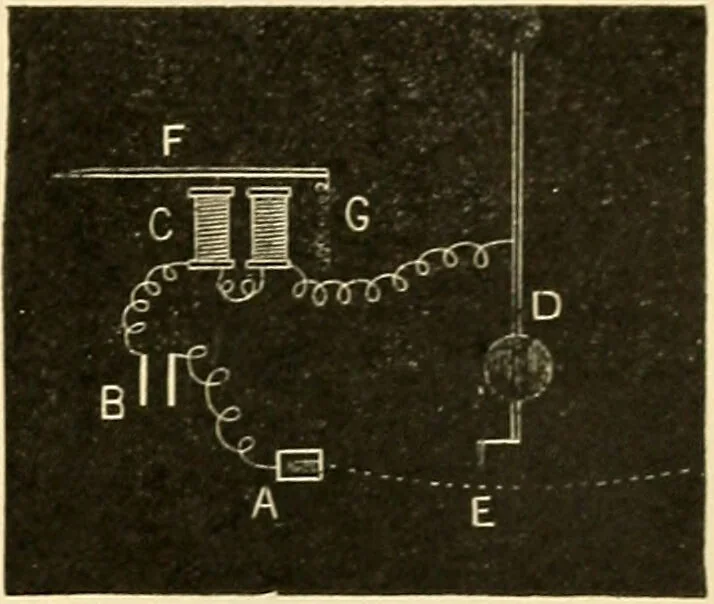 An illustration from A manual of physiology : with practical exercises / by G. N. Stewart ; with coloured plate and 467 other illustrations., 1914, leaf 731