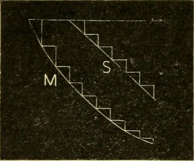An illustration from A manual of physiology : with practical exercises / by G. N. Stewart ; with coloured plate and 467 other illustrations., 1914, leaf 734