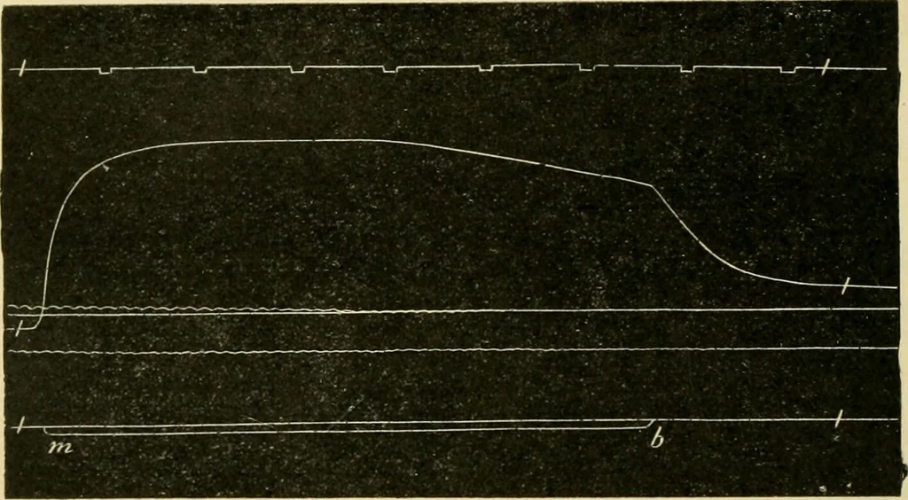 An illustration from A manual of physiology : with practical exercises / by G. N. Stewart ; with coloured plate and 467 other illustrations., 1914, leaf 738