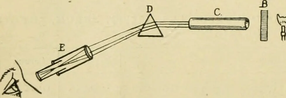 An illustration from A manual of physiology : with practical exercises / by G. N. Stewart ; with coloured plate and 467 other illustrations., 1914, leaf 74