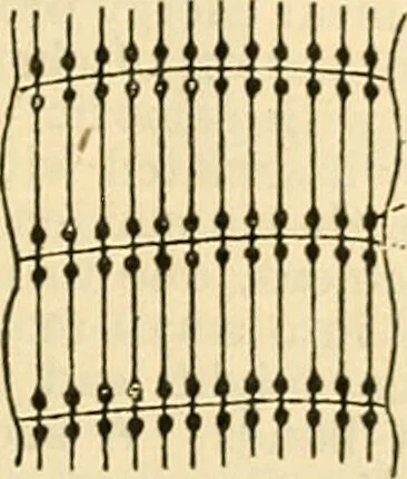 An illustration from A manual of physiology : with practical exercises / by G. N. Stewart ; with coloured plate and 467 other illustrations., 1914, leaf 741
