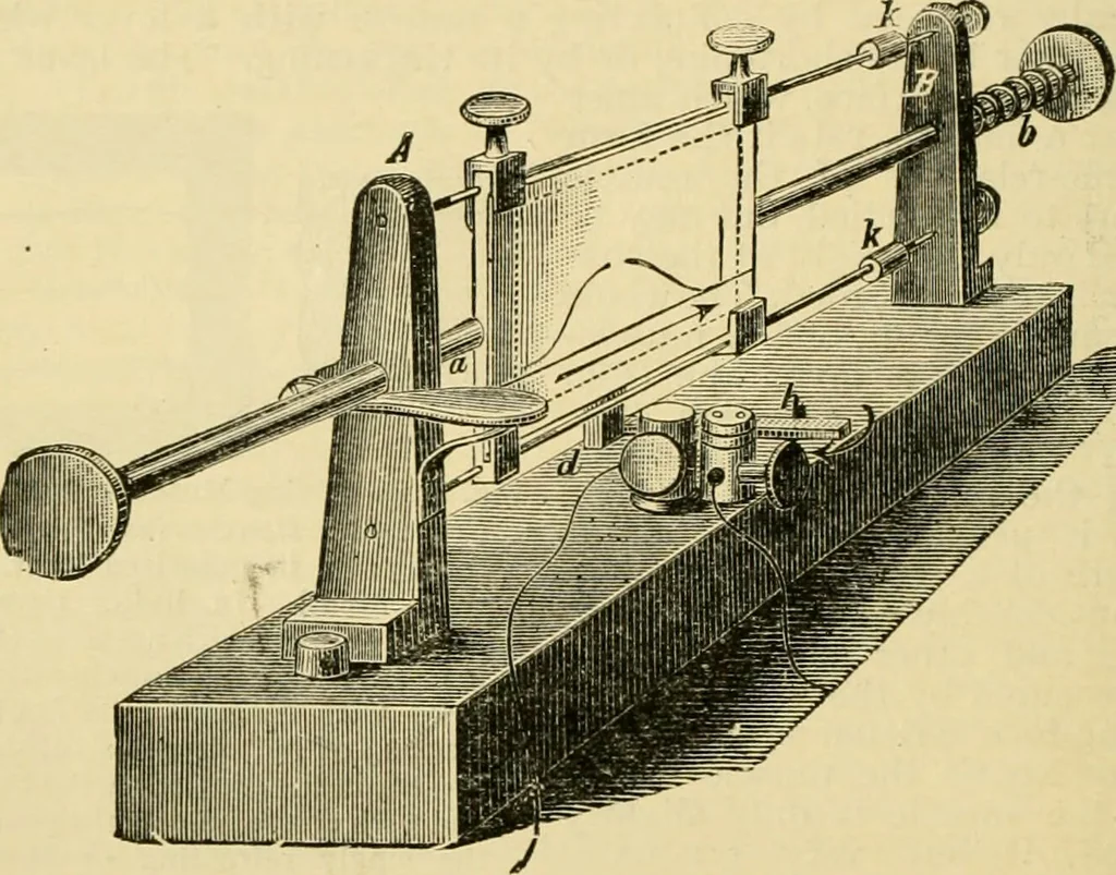 An illustration from A manual of physiology : with practical exercises / by G. N. Stewart ; with coloured plate and 467 other illustrations., 1914, leaf 744