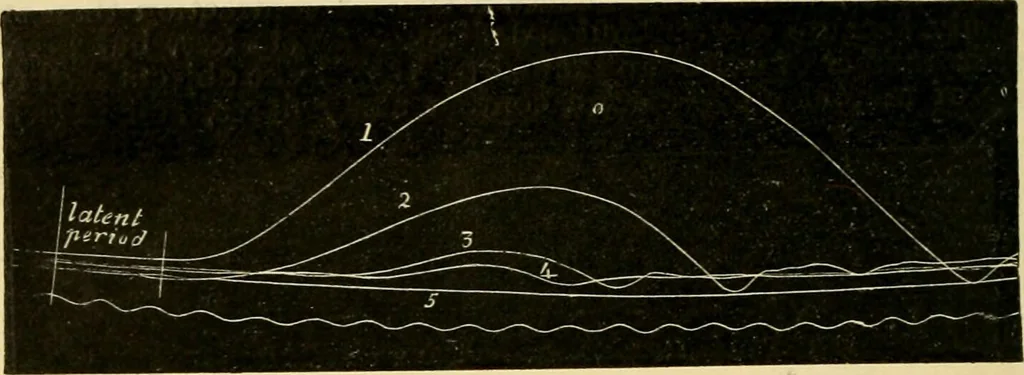 An illustration from A manual of physiology : with practical exercises / by G. N. Stewart ; with coloured plate and 467 other illustrations., 1914, leaf 746