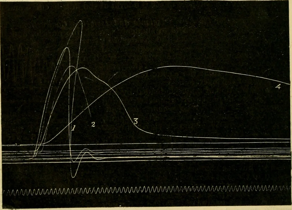 An illustration from A manual of physiology : with practical exercises / by G. N. Stewart ; with coloured plate and 467 other illustrations., 1914, leaf 746