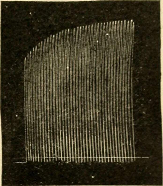 An illustration from A manual of physiology : with practical exercises / by G. N. Stewart ; with coloured plate and 467 other illustrations., 1914, leaf 749