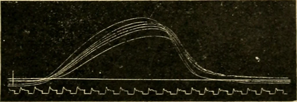An illustration from A manual of physiology : with practical exercises / by G. N. Stewart ; with coloured plate and 467 other illustrations., 1914, leaf 749