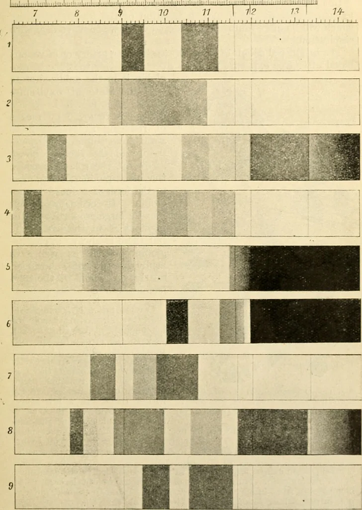 An illustration from A manual of physiology : with practical exercises / by G. N. Stewart ; with coloured plate and 467 other illustrations., 1914, leaf 75