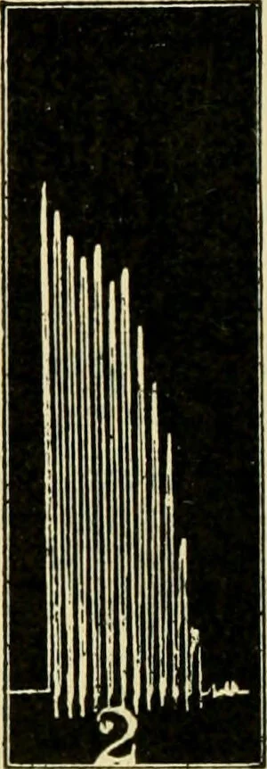 An illustration from A manual of physiology : with practical exercises / by G. N. Stewart ; with coloured plate and 467 other illustrations., 1914, leaf 752