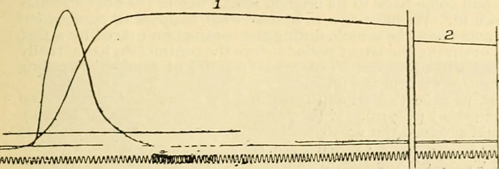 An illustration from A manual of physiology : with practical exercises / by G. N. Stewart ; with coloured plate and 467 other illustrations., 1914, leaf 753