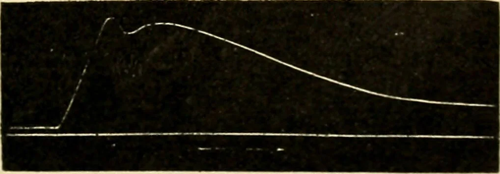 An illustration from A manual of physiology : with practical exercises / by G. N. Stewart ; with coloured plate and 467 other illustrations., 1914, leaf 753