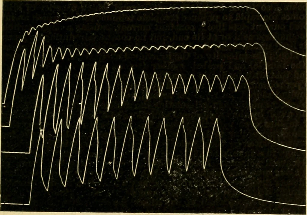 An illustration from A manual of physiology : with practical exercises / by G. N. Stewart ; with coloured plate and 467 other illustrations., 1914, leaf 755
