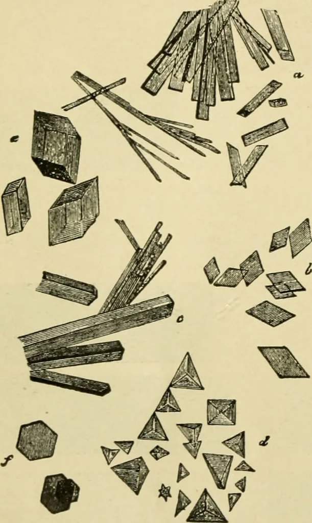 An illustration from A manual of physiology : with practical exercises / by G. N. Stewart ; with coloured plate and 467 other illustrations., 1914, leaf 76