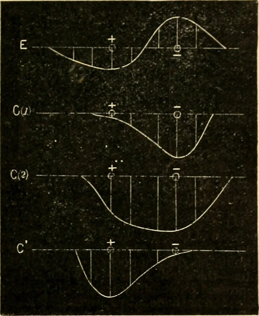 An illustration from A manual of physiology : with practical exercises / by G. N. Stewart ; with coloured plate and 467 other illustrations., 1914, leaf 785