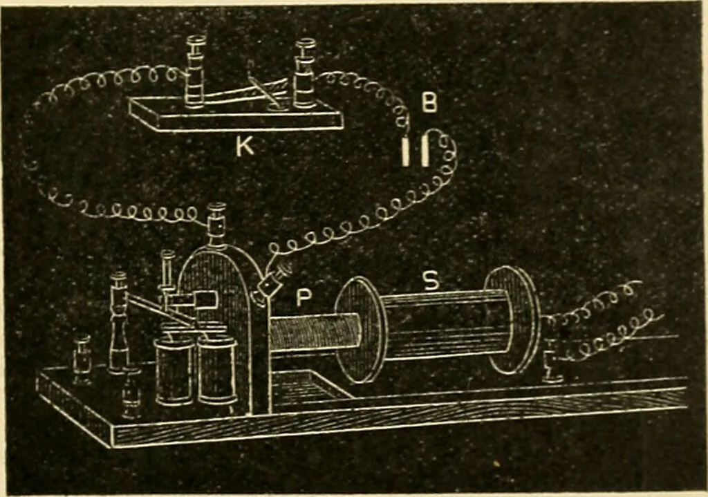 An illustration from A manual of physiology : with practical exercises / by G. N. Stewart ; with coloured plate and 467 other illustrations., 1914, leaf 805
