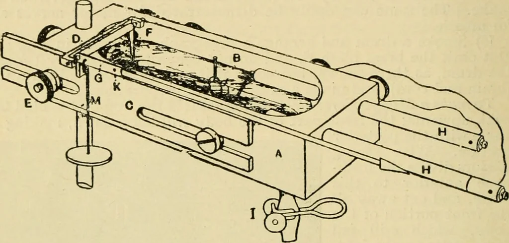 An illustration from A manual of physiology : with practical exercises / by G. N. Stewart ; with coloured plate and 467 other illustrations., 1914, leaf 806