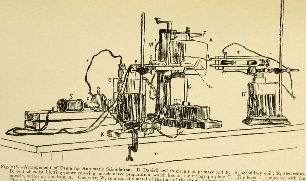 An illustration from A manual of physiology : with practical exercises / by G. N. Stewart ; with coloured plate and 467 other illustrations., 1914, leaf 809