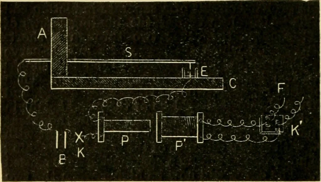 An illustration from A manual of physiology : with practical exercises / by G. N. Stewart ; with coloured plate and 467 other illustrations., 1914, leaf 814