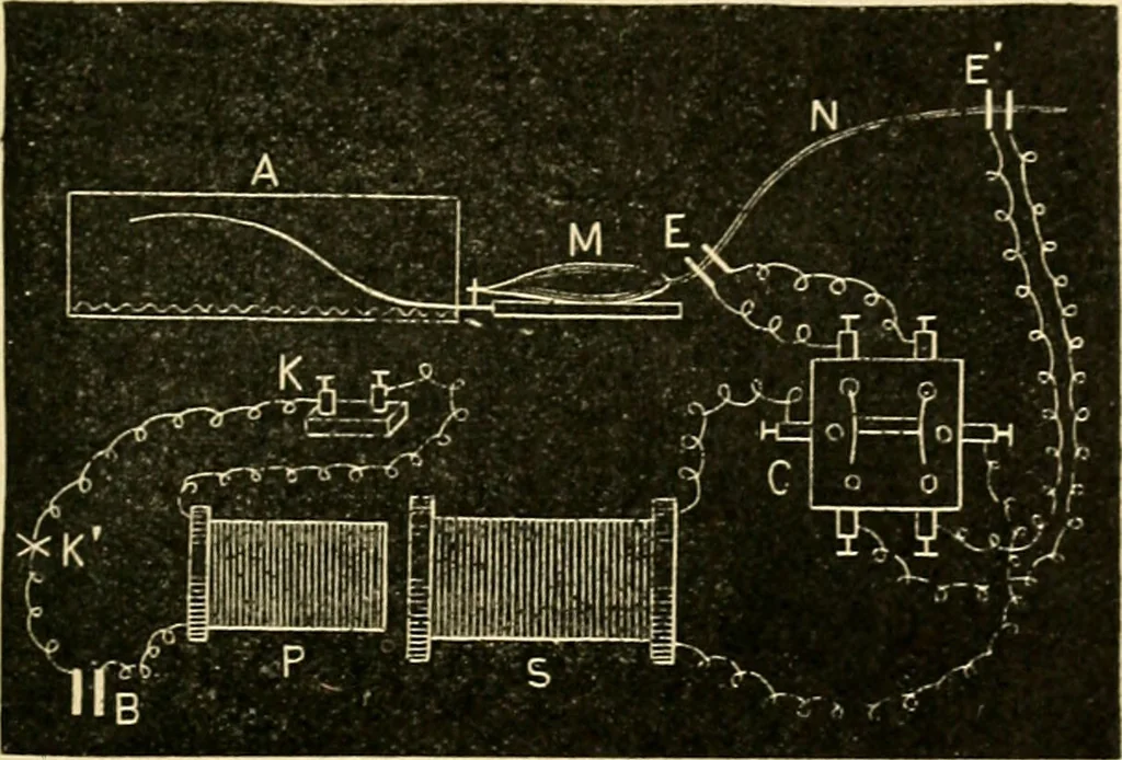 An illustration from A manual of physiology : with practical exercises / by G. N. Stewart ; with coloured plate and 467 other illustrations., 1914, leaf 815
