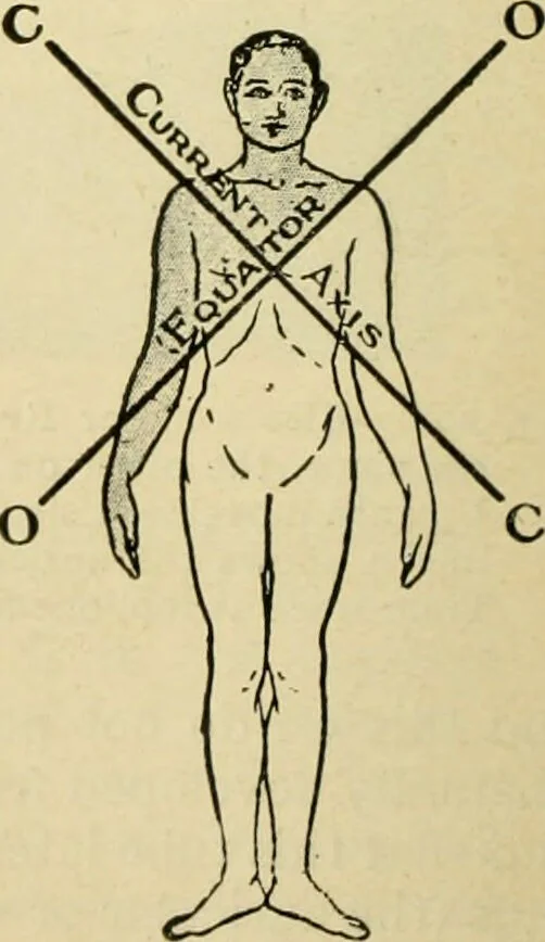 An illustration from A manual of physiology : with practical exercises / by G. N. Stewart ; with coloured plate and 467 other illustrations., 1914, leaf 832