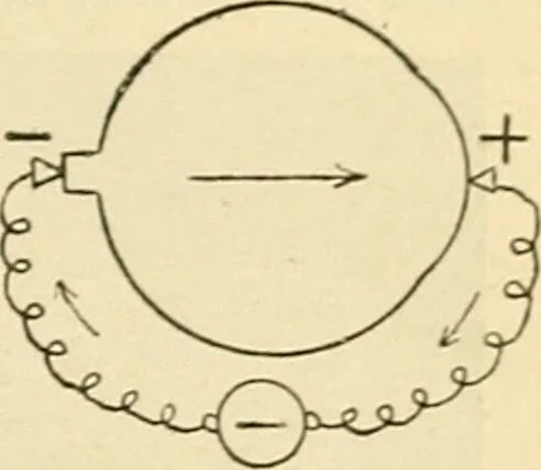 An illustration from A manual of physiology : with practical exercises / by G. N. Stewart ; with coloured plate and 467 other illustrations., 1914, leaf 835