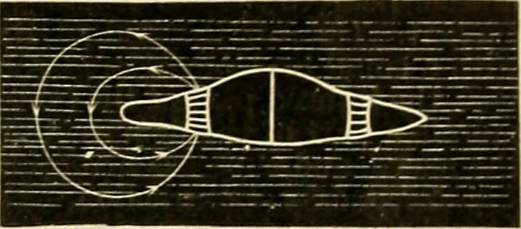 An illustration from A manual of physiology : with practical exercises / by G. N. Stewart ; with coloured plate and 467 other illustrations., 1914, leaf 837