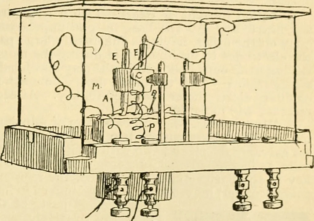 An illustration from A manual of physiology : with practical exercises / by G. N. Stewart ; with coloured plate and 467 other illustrations., 1914, leaf 839