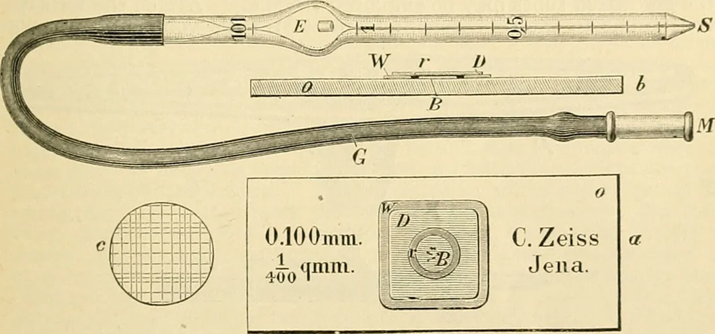 An illustration from A manual of physiology : with practical exercises / by G. N. Stewart ; with coloured plate and 467 other illustrations., 1914, leaf 91