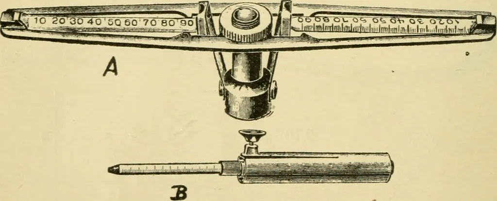 An illustration from A manual of physiology : with practical exercises / by G. N. Stewart ; with coloured plate and 467 other illustrations., 1914, leaf 92
