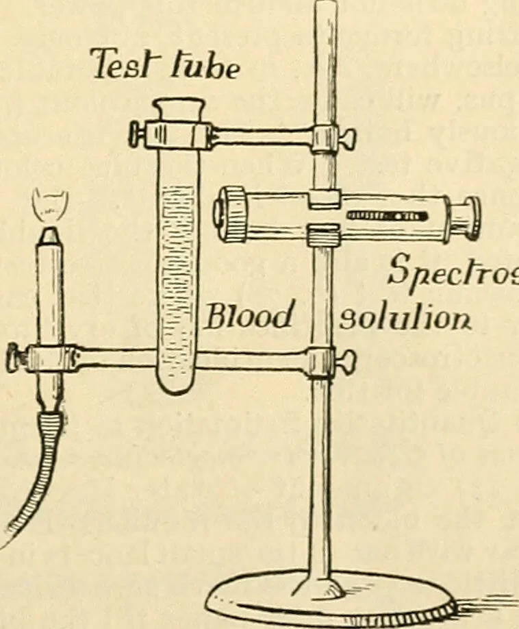 An illustration from A manual of physiology : with practical exercises / by G. N. Stewart ; with coloured plate and 467 other illustrations., 1914, leaf 99