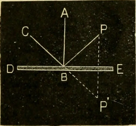 An illustration from A manual of physiology : with practical exercises / by G. N. Stewart ; with coloured plate and 467 other illustrations., 1914, leaf 992
