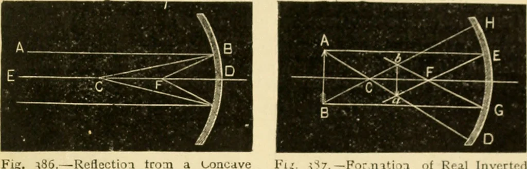 An illustration from A manual of physiology : with practical exercises / by G. N. Stewart ; with coloured plate and 467 other illustrations., 1914, leaf 993