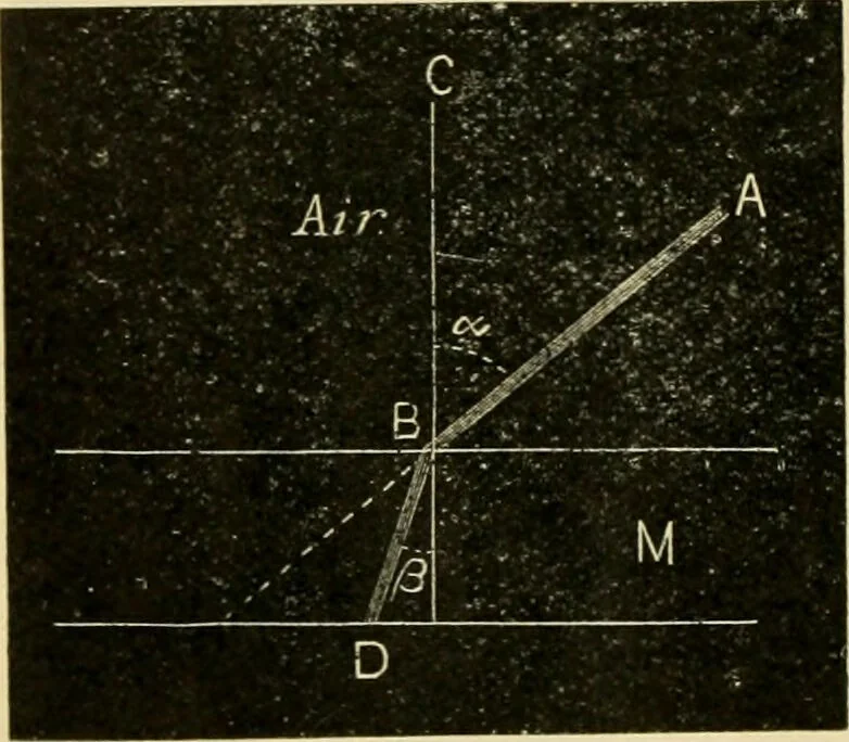 An illustration from A manual of physiology : with practical exercises / by G. N. Stewart ; with coloured plate and 467 other illustrations., 1914, leaf 994
