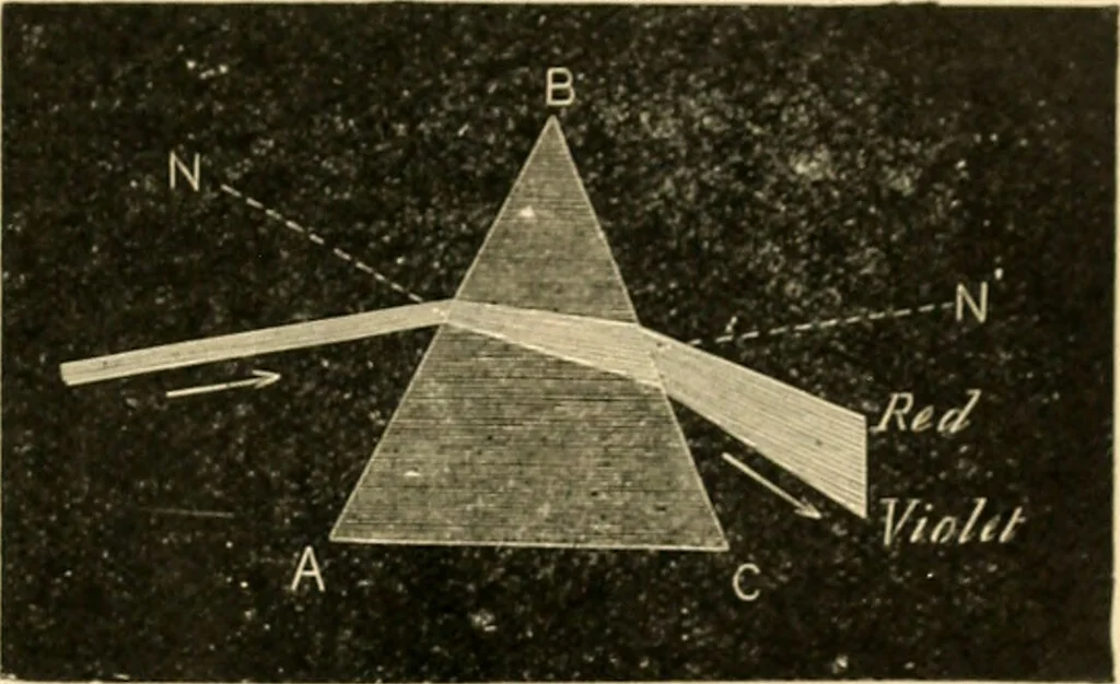 An illustration from A manual of physiology : with practical exercises / by G. N. Stewart ; with coloured plate and 467 other illustrations., 1914, leaf 995